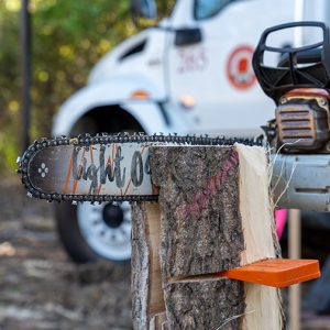 A close-up of a chainsaw cutting through a log, with a white utility truck in the background. The chainsaw blade has the words Light Out written on it.