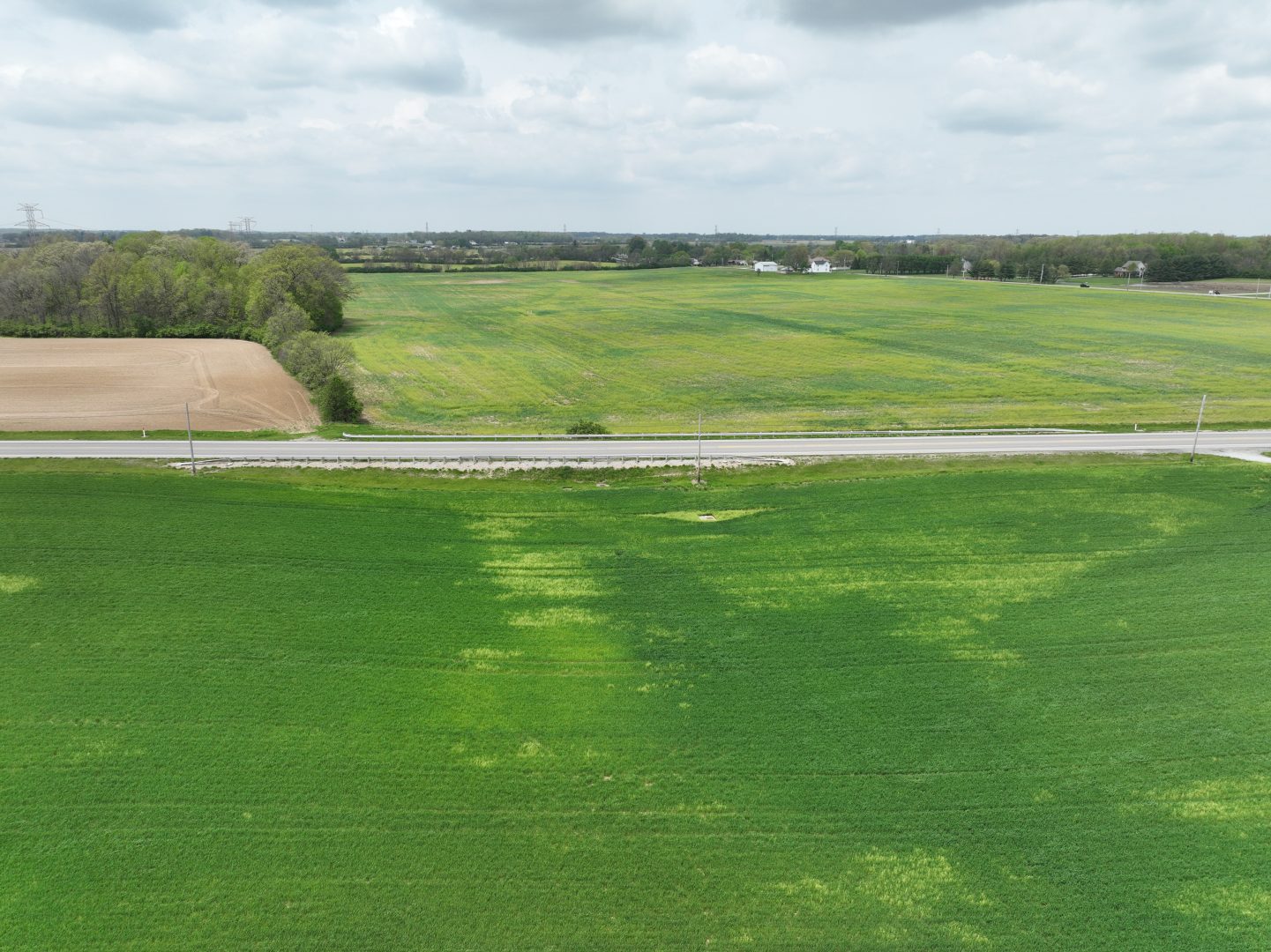 A rural landscape with green fields, a strip of brown soil, and a road running horizontally. Trees line the left side under a partly cloudy sky.