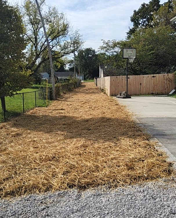 A residential alley or side yard covered in a thick layer of straw, with a gravel driveway in the foreground, a wooden fence, and a basketball hoop.